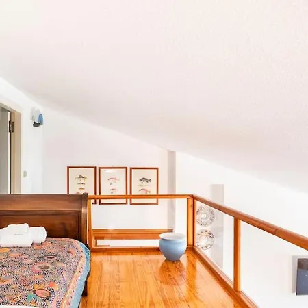 Casa Elvira - Centro Storico Sul Mare A 拉帕洛