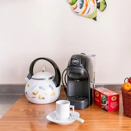 公寓 Casa Elvira - Centro Storico Sul Mare A 拉帕洛